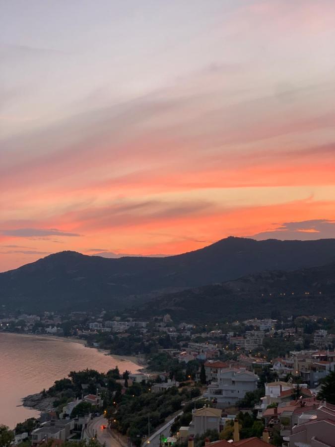 Mimoza'S Sea View Apartment PalaiónTsiflíkion エクステリア 写真