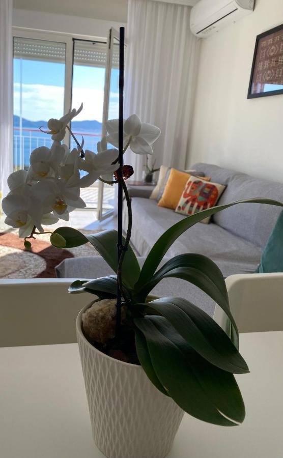 Mimoza'S Sea View Apartment PalaiónTsiflíkion エクステリア 写真