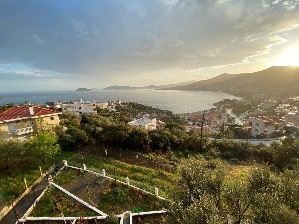 Mimoza'S Sea View Apartment PalaiónTsiflíkion エクステリア 写真