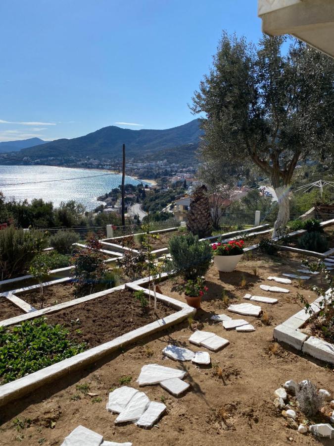 Mimoza'S Sea View Apartment PalaiónTsiflíkion エクステリア 写真