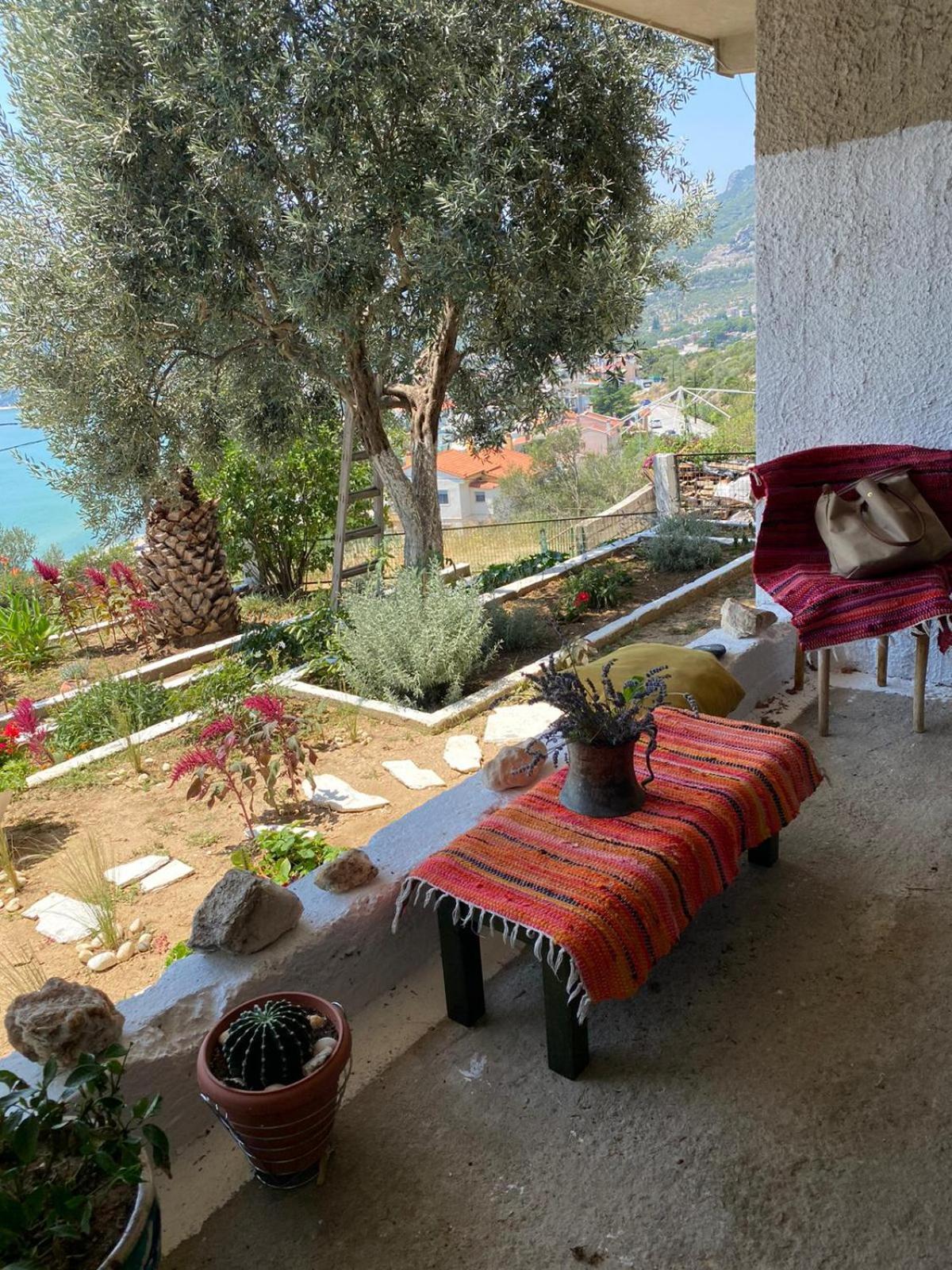 Mimoza'S Sea View Apartment PalaiónTsiflíkion エクステリア 写真